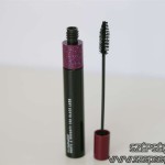 mac_haute_and_naughty_lash_7